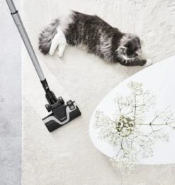 Rowenta Silence Force Allergy+ RO7740 - Stofzuiger Met Zak -Leifheit Store 1140x1200 3