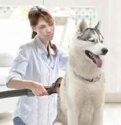 TurboTronic VS180 Draadloze Steelstofzuiger Met Handstofzuiger - Rood -Leifheit Store 1161x1200 6