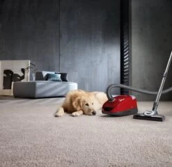 Miele Compact C2 Cat & Dog PowerLine - Stofzuiger Met Zak - Mangorood -Leifheit Store 1200x1166 7