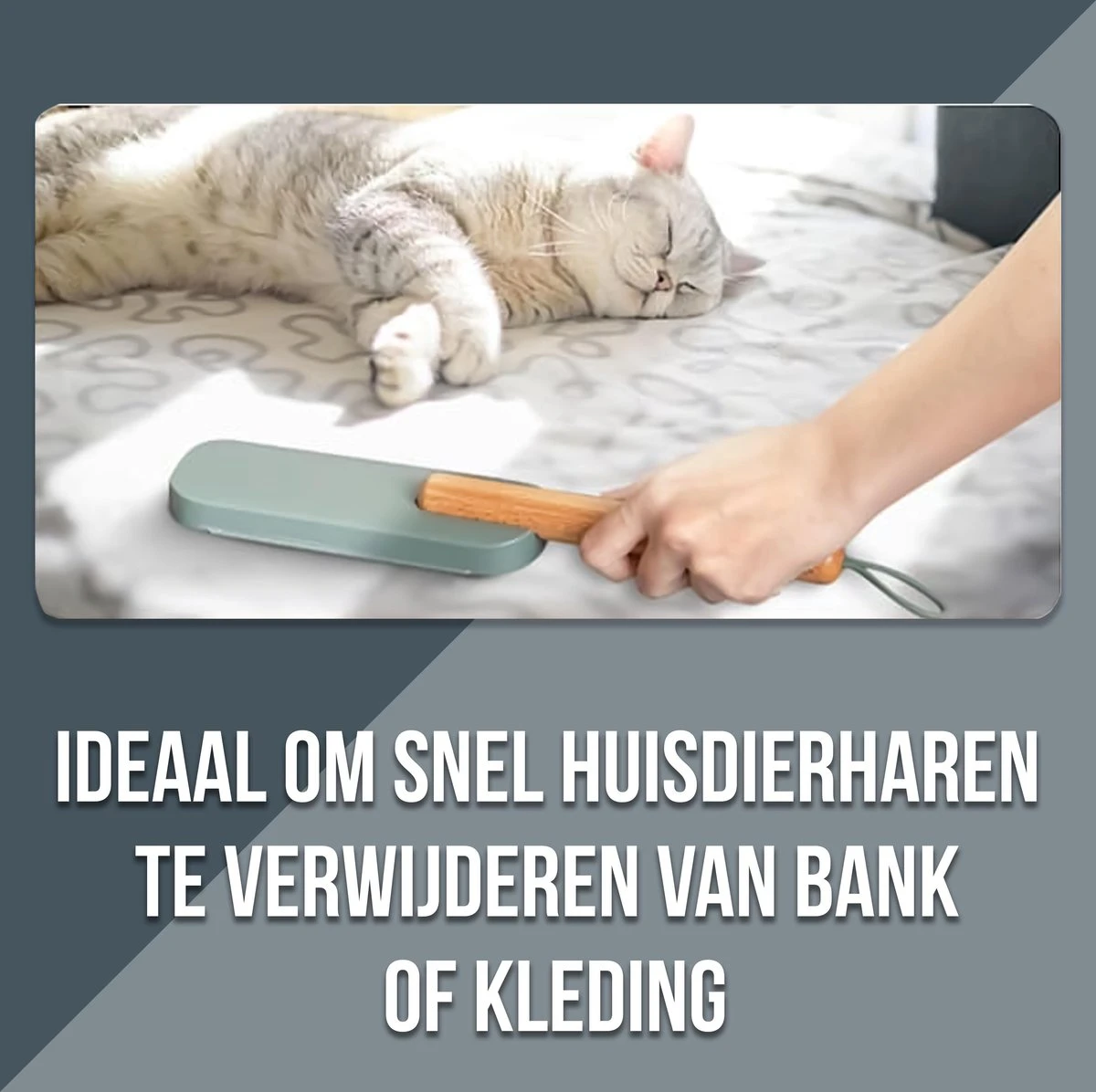Bradey Stijlvolle Kledingborstel - Pluizenverwijderaar - Pluizenborstel - Huisdierhaar Verwijderaar - Hondenhaar - Kattenhaar - Kleur Tiffany 8 Bradey Stijlvolle Kledingborstel - Pluizenverwijderaar - Pluizenborstel - Huisdierhaar Verwijderaar - Hondenhaar - Kattenhaar - Kleur Tiffany - Afbeelding 8