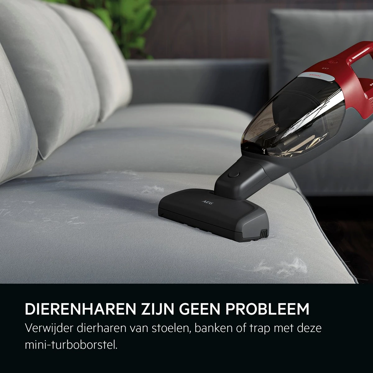 AEG QX6-ANIM - Steelstofzuiger - Stofzuiger Draadloos - Stofzuigers - Zakloos - Dierenhaar 9 AEG QX6-ANIM - Steelstofzuiger - Stofzuiger Draadloos - Stofzuigers - Zakloos - Dierenhaar - Afbeelding 9
