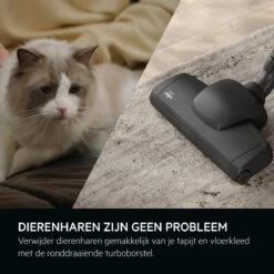 AEG AB61A4DB - Animal 6000 - Stofzuiger Met Zak - Stofzuigers - Parketborstel - Dierenhaar - Hepa 13 15 AEG AB61A4DB - Animal 6000 - Stofzuiger Met Zak - Stofzuigers - Parketborstel - Dierenhaar - Hepa 13 -Leifheit Store 1200x1200 1752