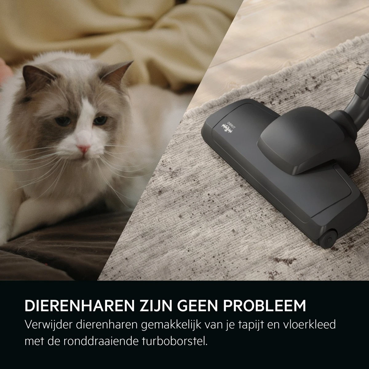 AEG AB61A4DB - Animal 6000 - Stofzuiger Met Zak - Stofzuigers - Parketborstel - Dierenhaar - Hepa 13 3 AEG AB61A4DB - Animal 6000 - Stofzuiger Met Zak - Stofzuigers - Parketborstel - Dierenhaar - Hepa 13 - Afbeelding 3