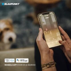 Blaupunkt Bluebot XVAC – Robotstofzuiger Met Laadstation - Optie Tot Dweilfunctie – Slimme Gyro Navigatie 21 Blaupunkt Bluebot XVAC – Robotstofzuiger Met Laadstation - Optie Tot Dweilfunctie – Slimme Gyro Navigatie -Leifheit Store 1200x1200 2108