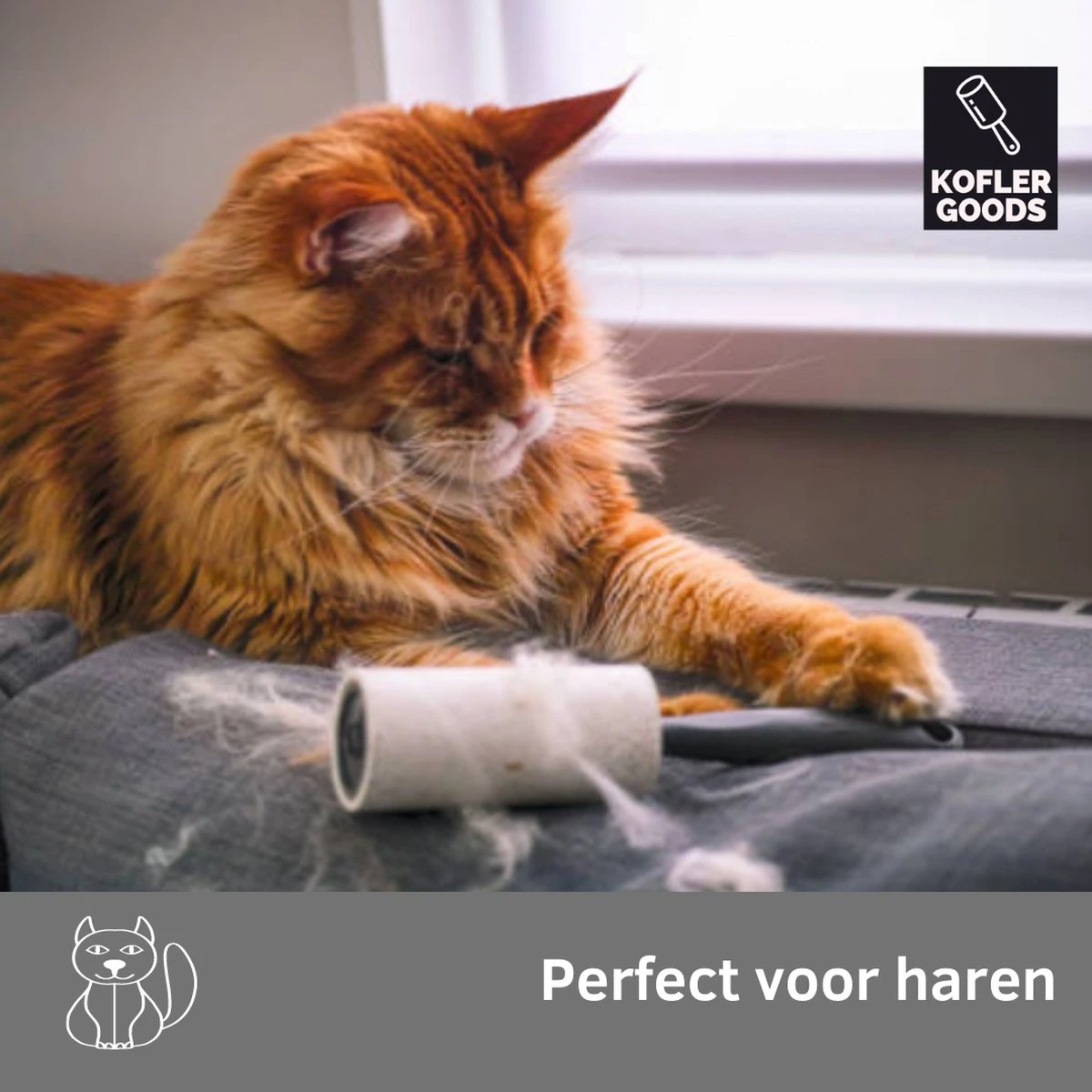 Koflergoods - Kledingroller - Kleefroller - Set Van 6 Stuks - Plakroller - Stofroller - Pluisroller - Haren Opruimen - Stof Verwijderen 4 Koflergoods - Kledingroller - Kleefroller - Set Van 6 Stuks - Plakroller - Stofroller - Pluisroller - Haren Opruimen - Stof Verwijderen - Afbeelding 4