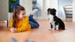 Philips 2000 Series XB2125/09 - Stofzuiger Zonder Zak -Leifheit Store 1200x674 4