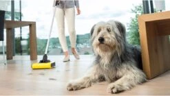 Kärcher KB 5 Rolveger - Vloerreiniger - 3,7V - Incl. Accu En Lader -Leifheit Store 1200x679