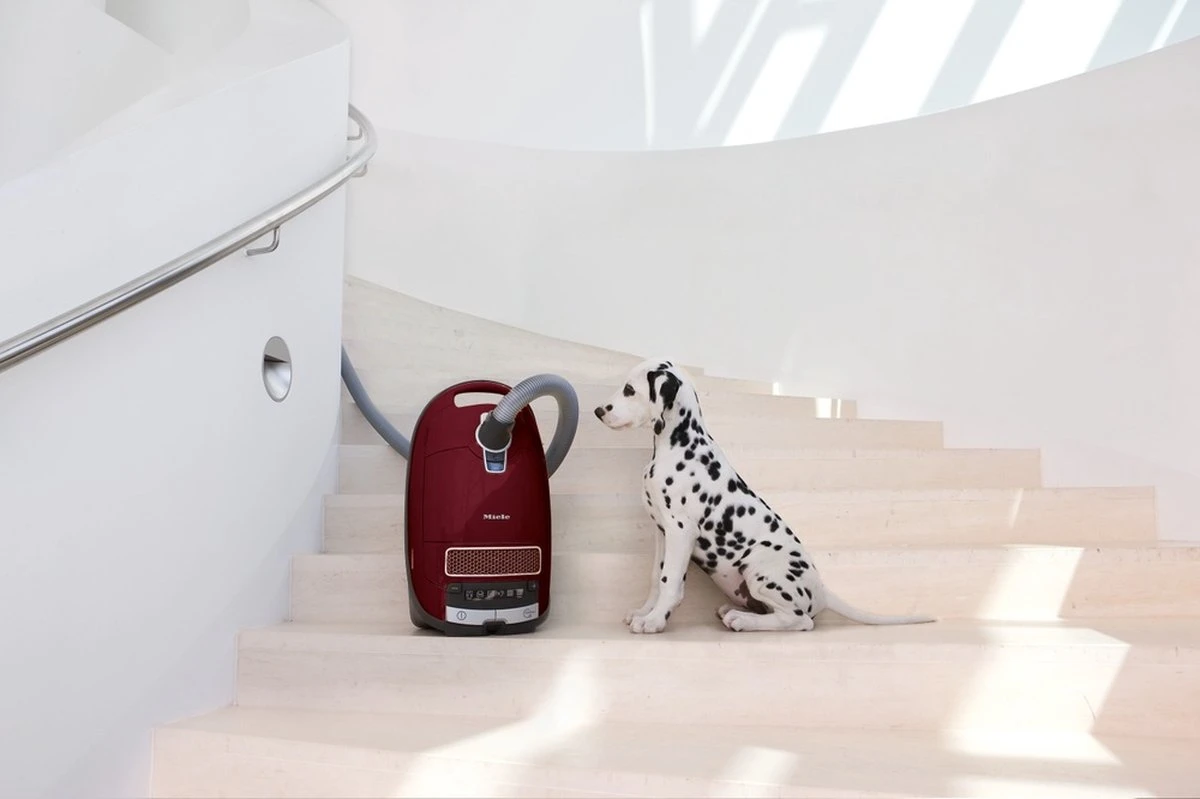 Miele Complete C3 Cat & Dog PowerLine - Stofzuiger Met Zak - Braambesrood 15 Miele Complete C3 Cat & Dog PowerLine - Stofzuiger Met Zak - Braambesrood - Afbeelding 15