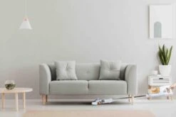 PRIMO PR500SV Stofzuiger Zonder Zak - 3-in-1 Steelstofzuiger Draadloos - Kruimelzuiger - HEPA Filter - Wit/Peach 13 PRIMO PR500SV Stofzuiger Zonder Zak - 3-in-1 Steelstofzuiger Draadloos - Kruimelzuiger - HEPA Filter - Wit/Peach -Leifheit Store 1200x800 208