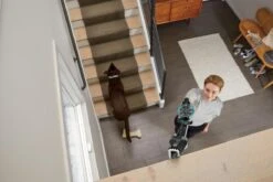 BISSELL 2602D Icon Pet - Steelstofzuiger -Leifheit Store 1200x800 292