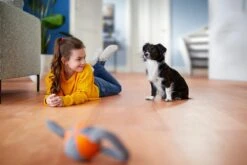 Philips Performer Compact 3000 Series XD3110/09 - Stofzuiger Met Zak -Leifheit Store 1200x800 328