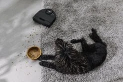 Neato® D9 Intelligente Robotstofzuiger - D-vormig Design, HEPA-filter, Lasermapping-navigatie - Bediening Via App - 200 Minuten Looptijd Met Automatisch Opladen/Hervatten - Zwart -Leifheit Store 1200x800 402