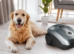 Tesla BG600G - Stille Stofzuiger Met Zak - Zilver - 61dB -Leifheit Store 1200x875 4