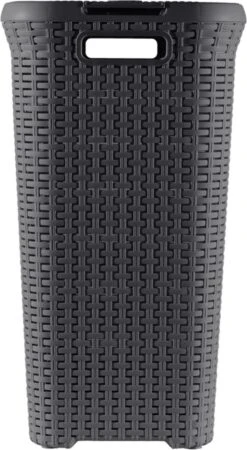 Curver Style Wasmand Met Deksel - 60L - Antraciet 18 Curver Style Wasmand Met Deksel - 60L - Antraciet -Leifheit Store 659x1200 3