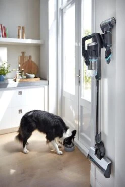 BISSELL 2602D Icon Pet - Steelstofzuiger -Leifheit Store 800x1200 67