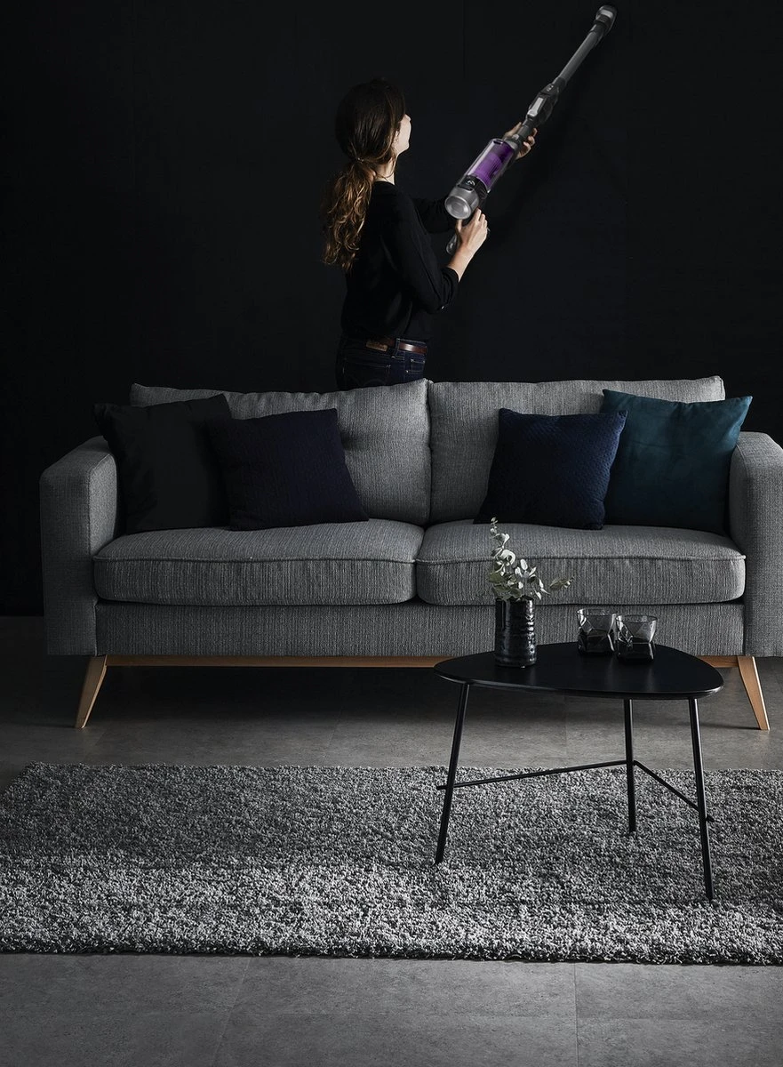 Rowenta X-Force Flex 9.60 RH2038 - Steelstofzuiger 9 Rowenta X-Force Flex 9.60 RH2038 - Steelstofzuiger - Afbeelding 9