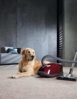 Miele Complete C3 Cat&Dog PowerLine - Stofzuiger